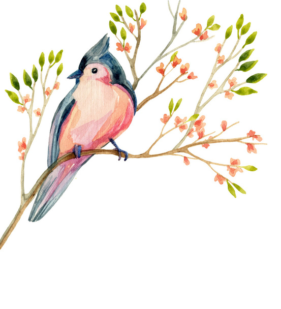 Aquarel vogel kaart: Tweekleurige mees op een bloeiende tak. - Foto, afbeelding