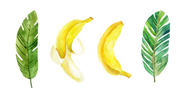 Banán a levelek és gyümölcsök.  - Fotó, kép