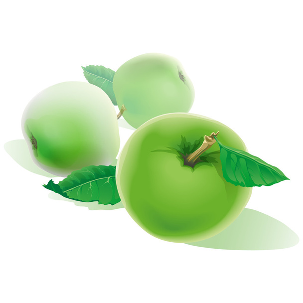 Три зелені яблука із зеленим листям. - Вектор, зображення