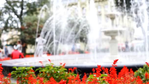 fontein in stadspark, onscherpe achtergrond - Video