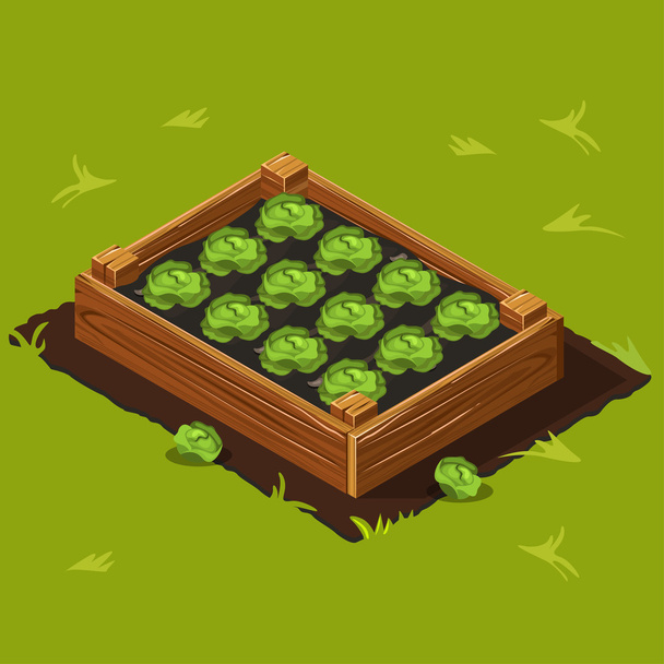 Овочевий Садовий ящик з капустою. Набір 9 - Вектор, зображення