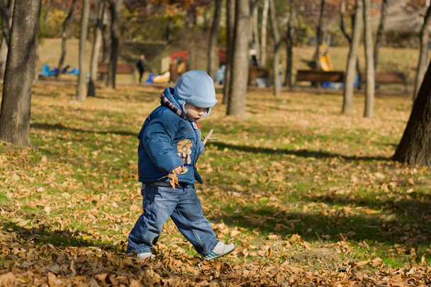 Child walking in the park - Фото, изображение