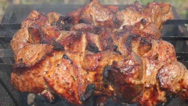 Grillezés pácolt saslik (skewered hús) a grill. Forró nyír szén. Friss, lédús hús. Egészséges étel. Ünnepek grill. - Felvétel, videó