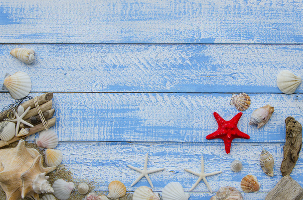 Καλοκαίρι παραλία θάλασσα έννοια. Μπλε φόντο ξύλινη διαφορετικά κελύφη, άσπρες πέτρες και άμμο. Κόκκινο sratfish στο κέντρο - Φωτογραφία, εικόνα