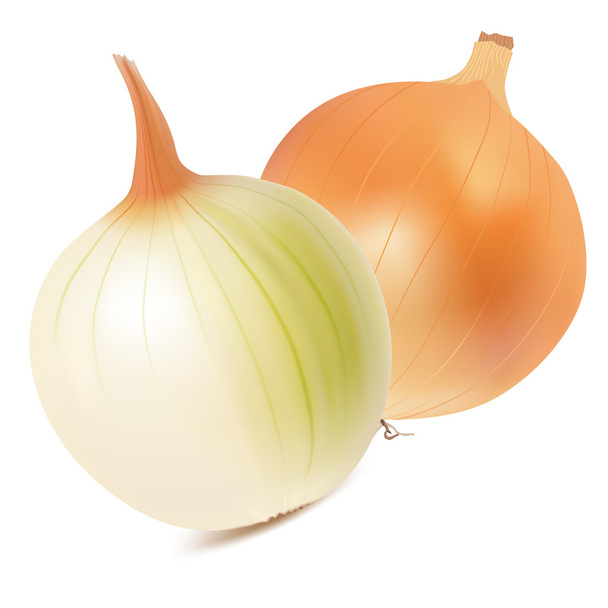 Onions - Vector, Image