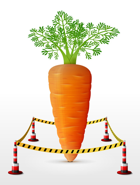 Carrot tuber located in restricted area - Vector, Image