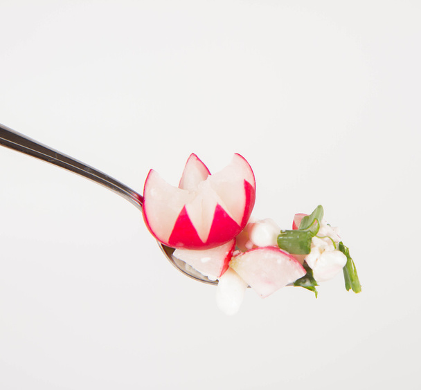 Cottage cheese with radish - Foto, afbeelding