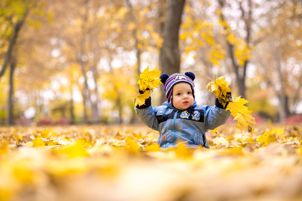 Pequeño niño en el parque de otoño
 - Foto, imagen