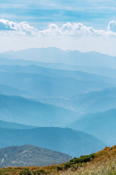 Blue mountains in Ukraine Carpathians - Photo, Image