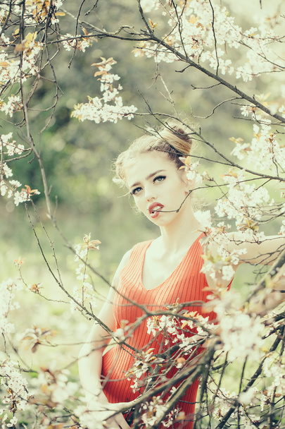 Pretty girl in blossom - Фото, зображення