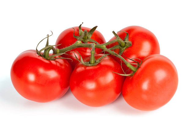 Odizolowana gałąź pomidorów - Zdjęcie, obraz