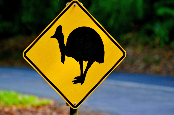 Panneau d'avertissement Cassowary dans le Queensland Australie
 - Photo, image
