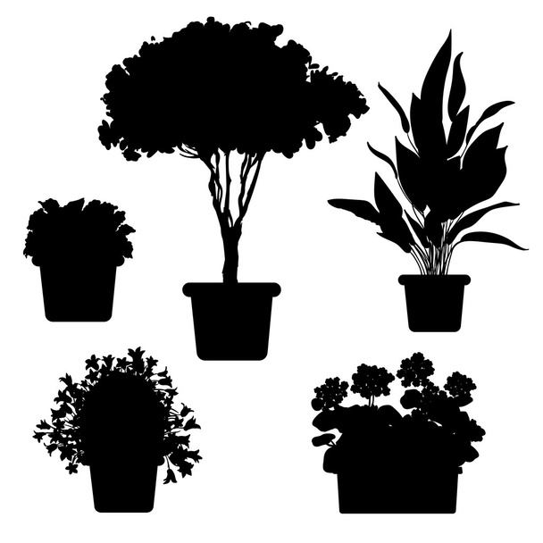 Plantas y flores en maceta
 - Vector, Imagen