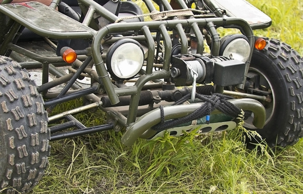 Bugs on a background of grass machine - Fotografie, Obrázek