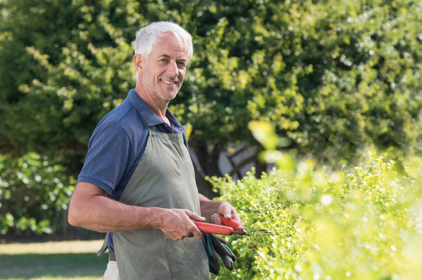 Retired man gardening - Zdjęcie, obraz