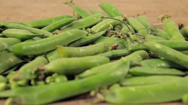 Rack focus along peas in a pod. background of old sack - Footage, Video