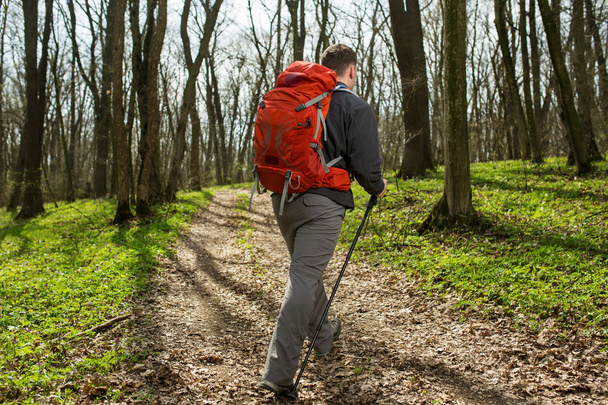 Active healthy man hiking in beautiful forest - 写真・画像
