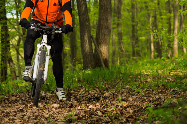 Cyclist Riding the Bike on a Trail in Summer Forest - Foto, Imagen