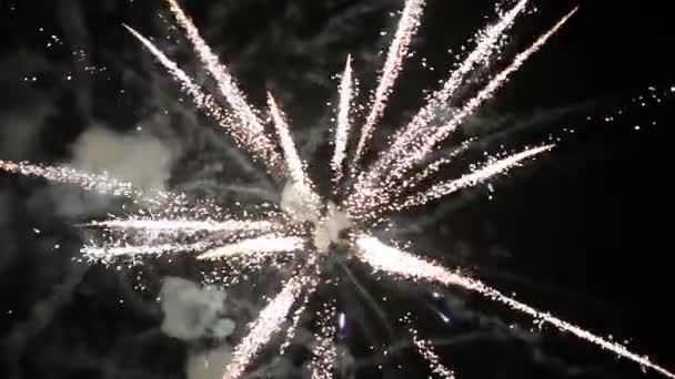 Spectaculair vuurwerk. Close-up - Video