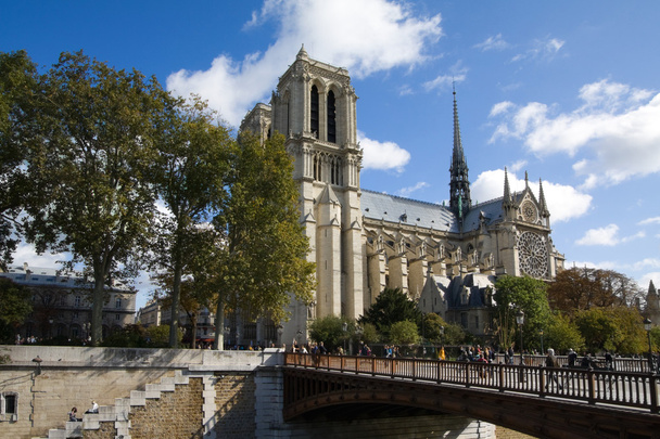 Katedra Notre Dame w Paryżu, Francja - Zdjęcie, obraz