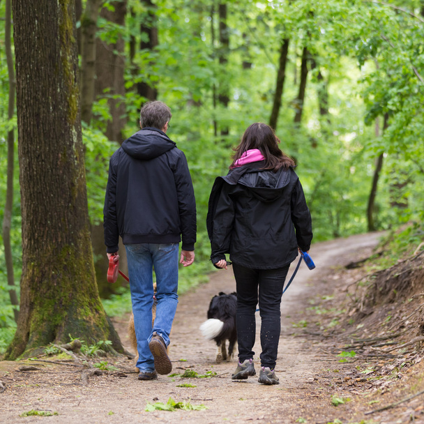 Ehepaar geht mit zwei Hunden im Wald spazieren - Foto, Bild