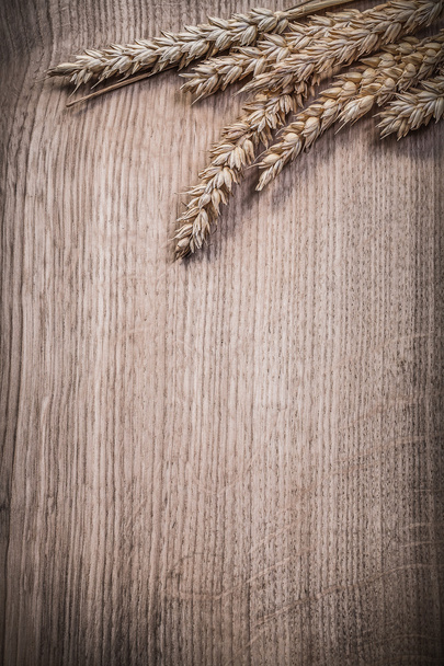 Composition of golden wheat rye ears on wooden board copyspace - 写真・画像
