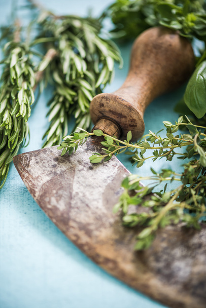 Vintage mezzaluna and fresh herbs - Фото, зображення
