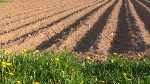 Campo agrícola que fue arado surcos para la plantación de patatas
 - Imágenes, Vídeo