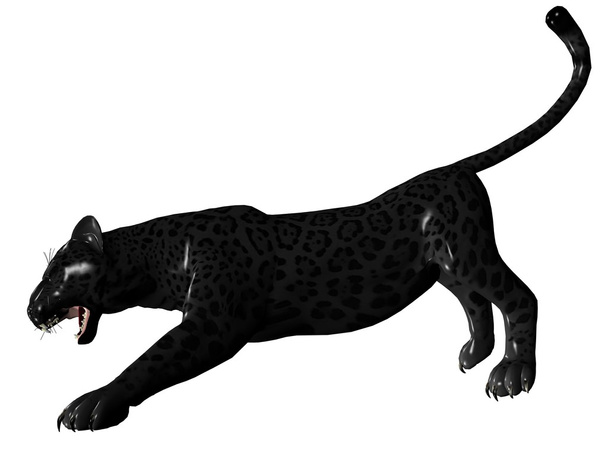 Агрессивная чёрная пантера
 - Фото, изображение