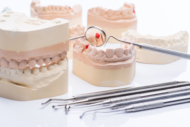 Формы зубов с основными стоматологическими инструментами на ярком белом столе
 - Фото, изображение