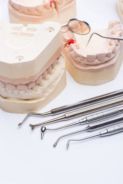 Teeth molds with basic dental tools on a bright white table - Photo, Image