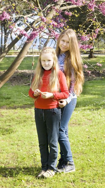 Two girls in park - Foto, immagini