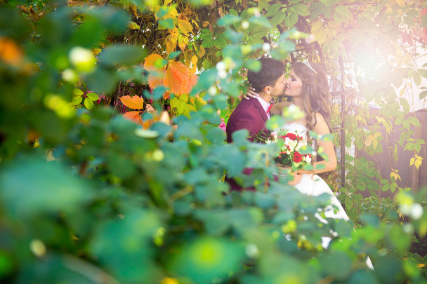Gelukkig elegante stijlvolle bruidegom met zijn prachtige bruid in het park - Foto, afbeelding