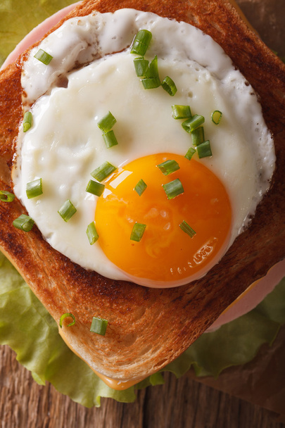 Croque madame sandwich with a fried egg close-up. vertical top v - Photo, Image