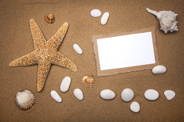 Estrella de mar y conchas con marco en la playa
 - Foto, Imagen