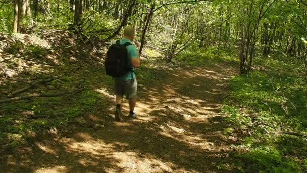 Sırt çantalı bir adam orman yolunda yokuş aşağı yürüyor. . - Video, Çekim