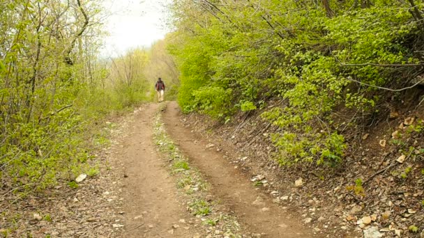 Turisztikai ember sétált az erdei ösvényen hátizsák. - Felvétel, videó