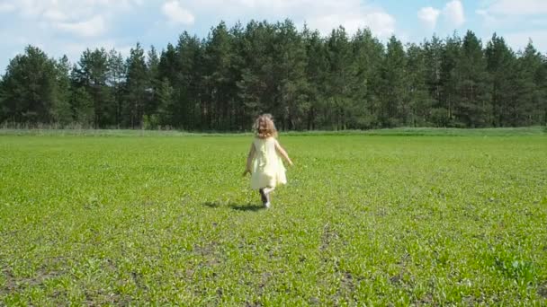 αξιολάτρευτο κοριτσάκι τρέχει στο πράσινο λιβάδι στη θερινή ημέρα. - Πλάνα, βίντεο