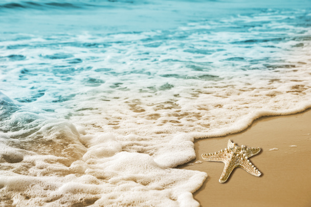 Estrella de mar y ola suave en la playa de arena
 - Foto, Imagen