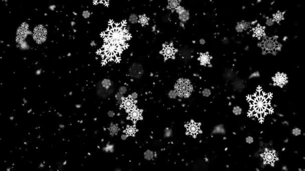 冬の雪と雪のフレーク3ループ可能な背景 - 映像、動画