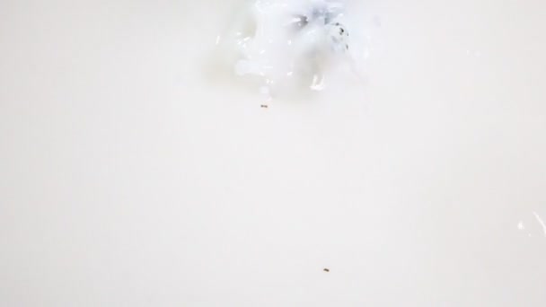 Bobule hroznů padají do mléka - Záběry, video