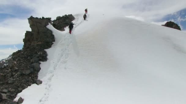 Ορεσίβιος σε ψηλό βουνό - Πλάνα, βίντεο