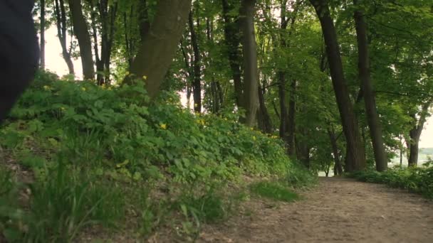 Girl Runing in the Park - Кадры, видео