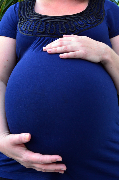 Woman Life - Pregnancy - Фото, зображення