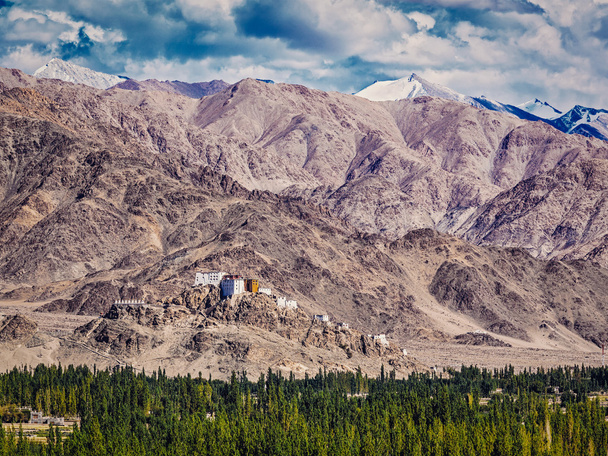 Monastère de Thiksey. Ladakh, Inde
 - Photo, image