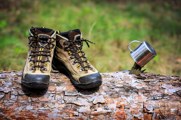 τουριστική μπότες σε ξύλινες ημερολόγιο στο δάσος - Φωτογραφία, εικόνα
