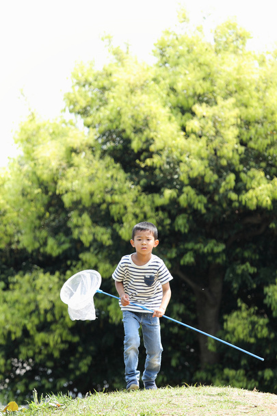Japanischer Junge sammelt Insekten (6 Jahre alt)) - Foto, Bild