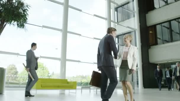 Businessman and businesswoman shake hands - Кадри, відео