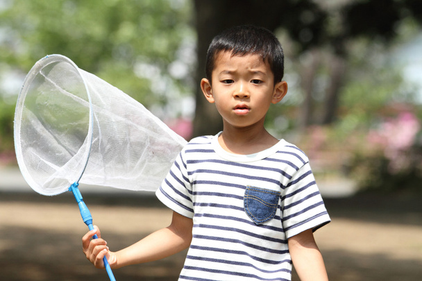 日本の少年を収集する昆虫 (6 歳) - 写真・画像