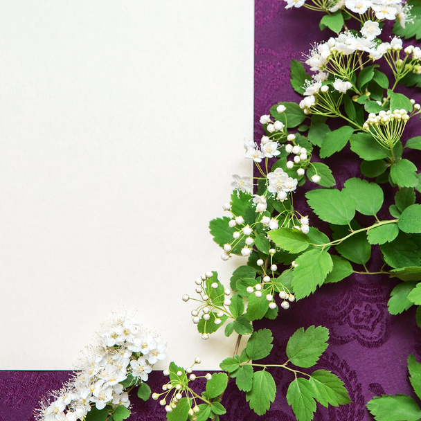 Krásný květinový pobočky na pozadí tvarovaných papíru a tmavě fialové látky - Fotografie, Obrázek